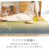 81971411 い草ラグ(裏貼り) 彩風 萩原 77797381
