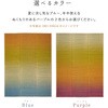 81971411 い草ラグ(裏貼り) 彩風 萩原 77797381