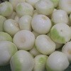 - [冷蔵]おいしいたまねぎドレッシング マスコ 77799201