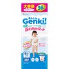 GBP-BIGD36 【大容量】あんしん Genki!ふわもちタッチ アイリスオーヤマ 77799621