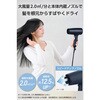 TD461A-A ドライヤー 速乾 大風量 マイナスイオン 静電気低減 髪にやさしい低温ケアモード搭載 2.0m3/分 1300W 軽量 テスコム 77878231