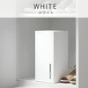 YDC-AU25(W) 除湿機 小型 ペルチェ式 250ml/日 850mlタンク PD対応 モバイルバッテリーで使える YAMAZEN(山善) 78036090