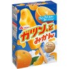 - [冷凍]ガツンと みかん 赤城乳業 78039057