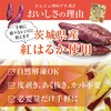 - [冷凍]茨城県産さつまいもスティック ニチノウ食品 78040545