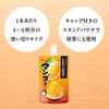 - こだわりの氷みつ マンゴー 井村屋 78045567