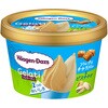 - [冷凍]ミニカップ Gelati ソルティキャラメル&ピスタチオ ハーゲンダッツ 78045847