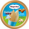 - [冷凍]ミニカップ Gelati ソルティキャラメル&ピスタチオ ハーゲンダッツ 78045847