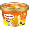 - [冷凍]ミニカップ Gelati トロピカルリッチ&ココナッツ ハーゲンダッツ 78045856
