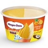 - [冷凍]ミニカップ Gelati トロピカルリッチ&ココナッツ ハーゲンダッツ 78045856