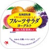 - [冷蔵]フルーツサラダヨーグルト 北海道乳業 78047807