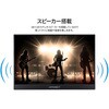 JN-MS-IPST156F 15.6型/1920×1080/miniHDMI×1、USB-C×2/ツートン(ブラック/シルバー)/スピーカー有/2年保証 JAPANNEXT 78057047