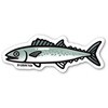 サワラ お魚イラストステッカーL(ラージサイズ) B-GROUND 78063277