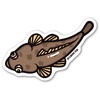 マゴチ お魚イラストステッカーL(ラージサイズ) B-GROUND 78062927