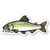 アユ お魚イラストステッカーL(ラージサイズ) B-GROUND 78063040