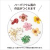 58793 ドライフラワー 12種 アーテック[学校教材・教育玩具] 78065237