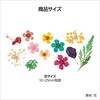 58793 ドライフラワー 12種 アーテック[学校教材・教育玩具] 78065237