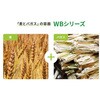 - フルーツ容器 WBカップ62-40 パックスタイル PackStyle(パックスタイル) 78070810