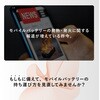 LN-TPMZMSV カラビナつき耐火ポーチ「MOEZ」 Mサイズ  バッテリーなどを安心して持ち運び 難燃素材採用 /燃えにくい2層構造 カラビナ付属 LEPLUS NEXT 78072027