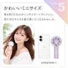 RFANLI020C02BK リン酸鉄ハンディファン ラスタバナナ 78084706