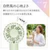 RFANLI020C02BK リン酸鉄ハンディファン ラスタバナナ 78084706