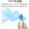 RFANLI020C03BK リン酸鉄ハンディファン ラスタバナナ 78084758