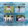 ACP2610 EROHEAT ACTIVE PONCHO ポンチョ 接触冷感 フリーサイズ エスエスケイ 78094917