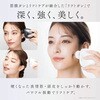 NP-BG25BK リフトガン NIPLUX 78142045
