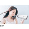 ZD-750P (PW) 電磁波低減ヘアケアドライヤー ZD-750P シリーズ ゼンケン 78144398