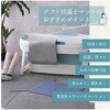 R0400-IVORYX5 ソフト珪藻土バスマット 1セット 5枚入 R0400シリーズ ライズクリエイション 78144468
