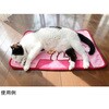 - マルチマット スヌーピー 洗面マット 38×58cm ハウス 創和 78144888