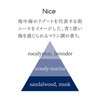 132011 リードディフューザー Jean. 100mL ニース 大香 78155896