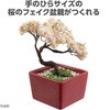92363 ミニ盆栽キット MINIBON アーテック[学校教材・教育玩具] 78158818