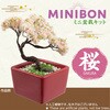 92363 ミニ盆栽キット MINIBON アーテック[学校教材・教育玩具] 78158818