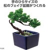 92362 ミニ盆栽キット MINIBON アーテック[学校教材・教育玩具] 78158940