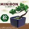 92362 ミニ盆栽キット MINIBON アーテック[学校教材・教育玩具] 78158940