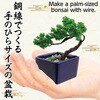 92362 ミニ盆栽キット MINIBON アーテック[学校教材・教育玩具] 78158940