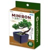 92362 ミニ盆栽キット MINIBON アーテック[学校教材・教育玩具] 78158940
