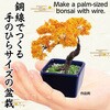 92364 ミニ盆栽キット MINIBON アーテック[学校教材・教育玩具] 78158985