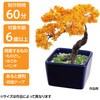 92364 ミニ盆栽キット MINIBON アーテック[学校教材・教育玩具] 78158985