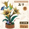 58962 木製フラワークラフトキット アーテック[学校教材・教育玩具] 78159019