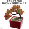 92365 ミニ盆栽キット MINIBON アーテック[学校教材・教育玩具] 78159037