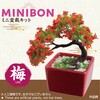 92365 ミニ盆栽キット MINIBON アーテック[学校教材・教育玩具] 78159037