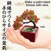 92365 ミニ盆栽キット MINIBON アーテック[学校教材・教育玩具] 78159037