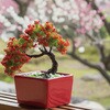 92365 ミニ盆栽キット MINIBON アーテック[学校教材・教育玩具] 78159037