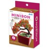 92365 ミニ盆栽キット MINIBON アーテック[学校教材・教育玩具] 78159037