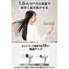 TD626A-K 海外対応ドライヤー 速乾 大風量 自動電圧切替 100-240V Cタイプ変換プラグ付 折りたたみ プロテクトイオン テスコム 78162711