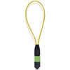 LOOPBACKMTP12OS2SMF 光ファイバーループバックプラグ/MPOシングルモード/9/125/MPO-12 メス/APC/MTP/光通信テスト用アダプター StarTech.com 78164235