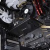 2M2-REMOVABLE-PCIE M.2 NVMe SSDモバイルラック/PCIe x8接続/デュアルベイ/ホットスワップ対応/PCIe分岐機能必須(Bifurcation対応)/産業用 高速転送対応 工具不要 着脱式ドライブベイ StarTech.com 78164461