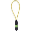 LOOPBACKMTP12OS2SMM 光ファイバーループバックプラグ/MPOシングルモード/9/125/MPO-12 オス/APC/MTP/光通信テスト用アダプター StarTech.com 78164506