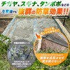 - GreenArts(R) 防草シート NITTOSEKKO 78166098